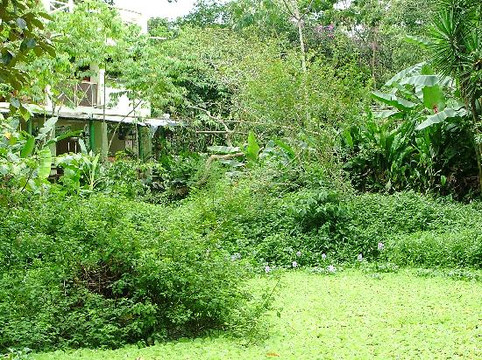 Proyecto Asis-福德圣卡洛斯必去景点