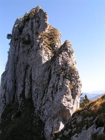 Lake Tegernsee景点图片