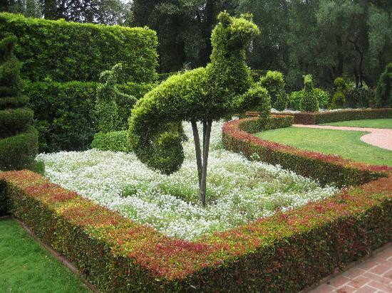 荷花园-蒙特西托必去景点