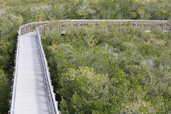 Weedon Island Preserve Cultural And Natural History Center景点图片