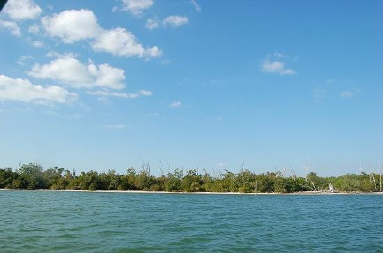 Cayo Costa State Park-Boca Grande必去景点