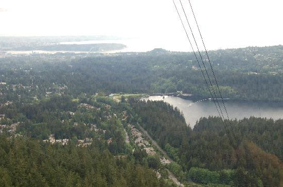 Grouse Mountain Skyride景点图片