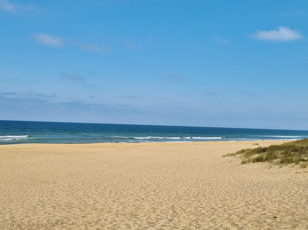 Lakes Entrance Beach景点图片