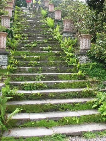 Bantry House & Garden-Bantry必去景点