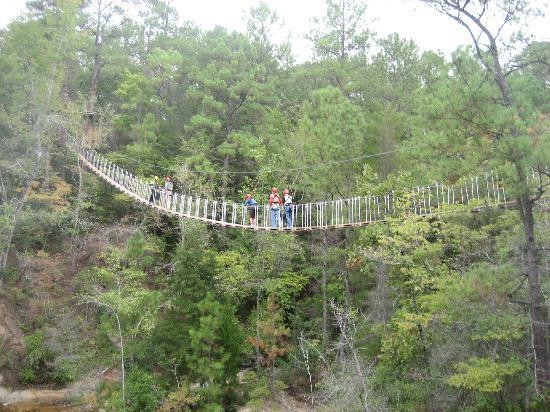 ZipQuest Waterfall & Treetop Adventure-费耶特维尔必去景点