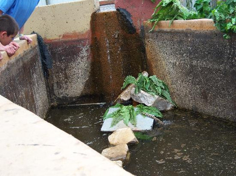 Beaver Springs Fishing Park-威斯康星峡谷必去景点