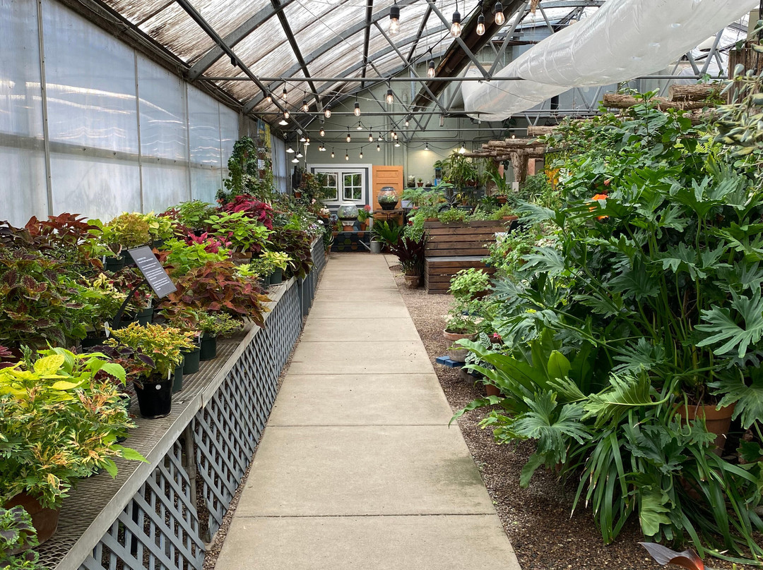 Greater Des Moines Botanical Garden景点图片