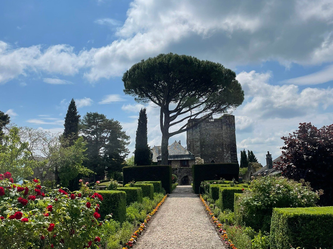 Château de Turenne景点图片