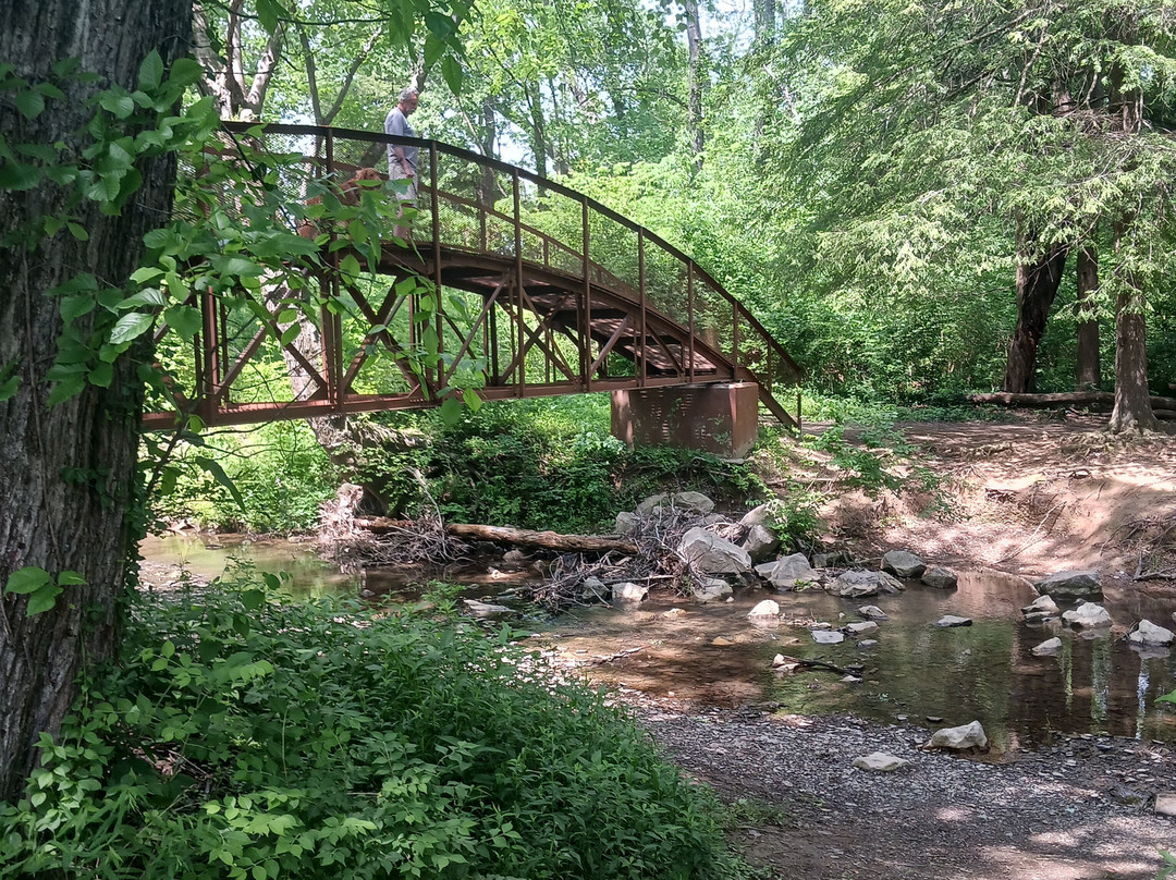 Brushy Fork Park