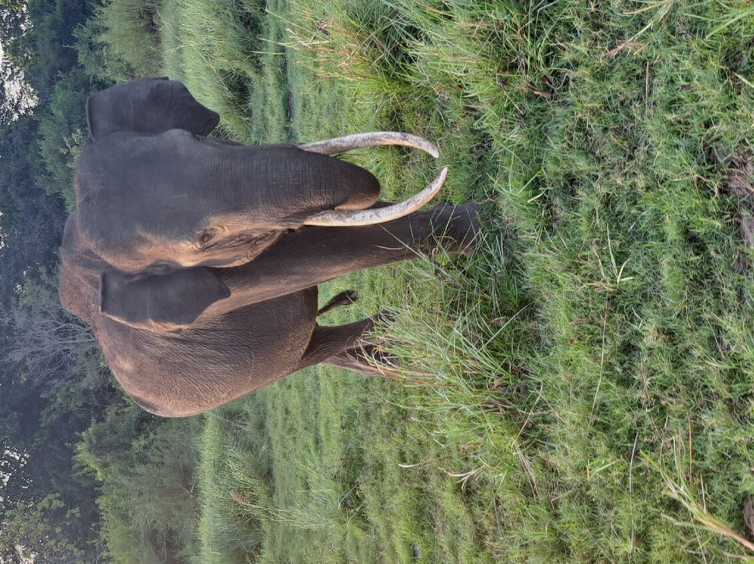 Aliya Tours-康提必去景点