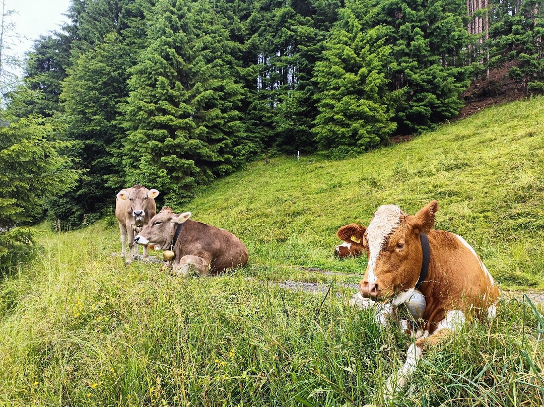 Stausee Durlassboden-加洛斯必去景点