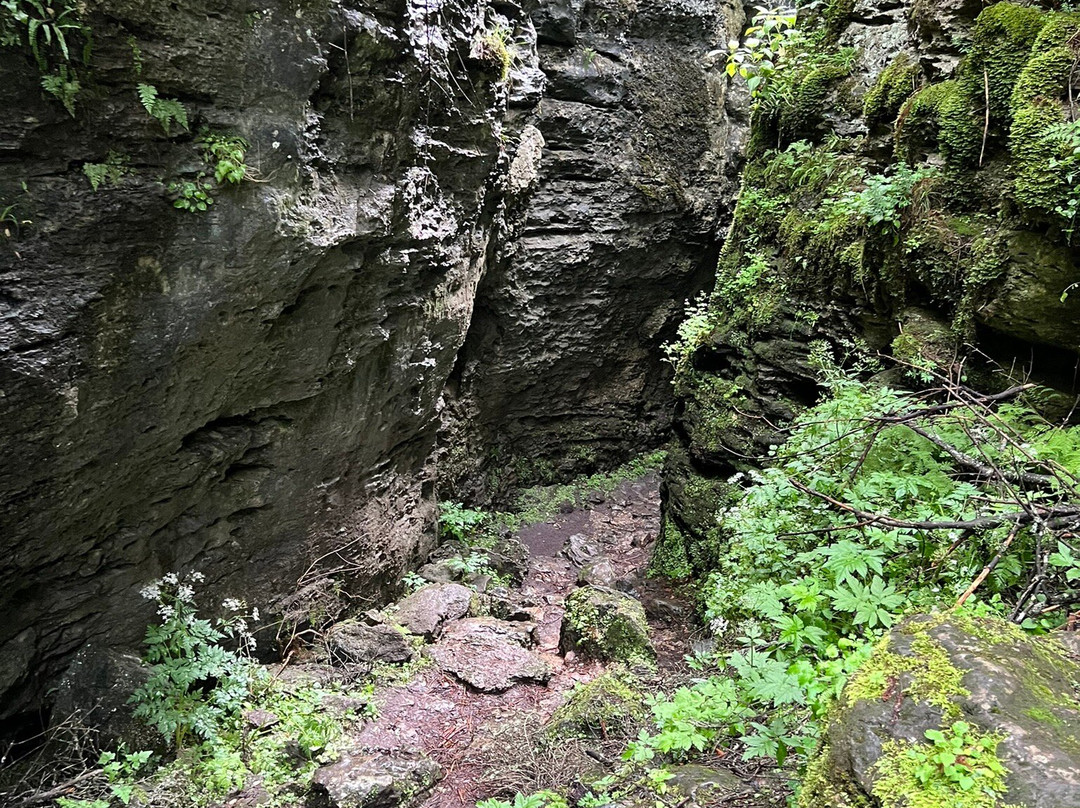 Pestera de Gheata si Grota ursilor景点图片