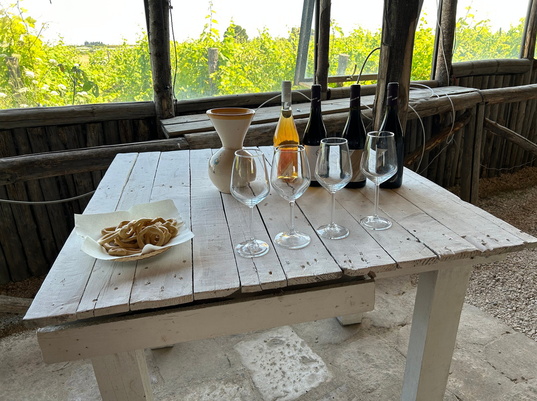 Itanata -Tour Guide in Puglia & Basilicata-巴里必去景点