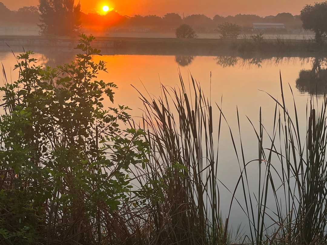 Vero Beach Equestrian Club景点图片