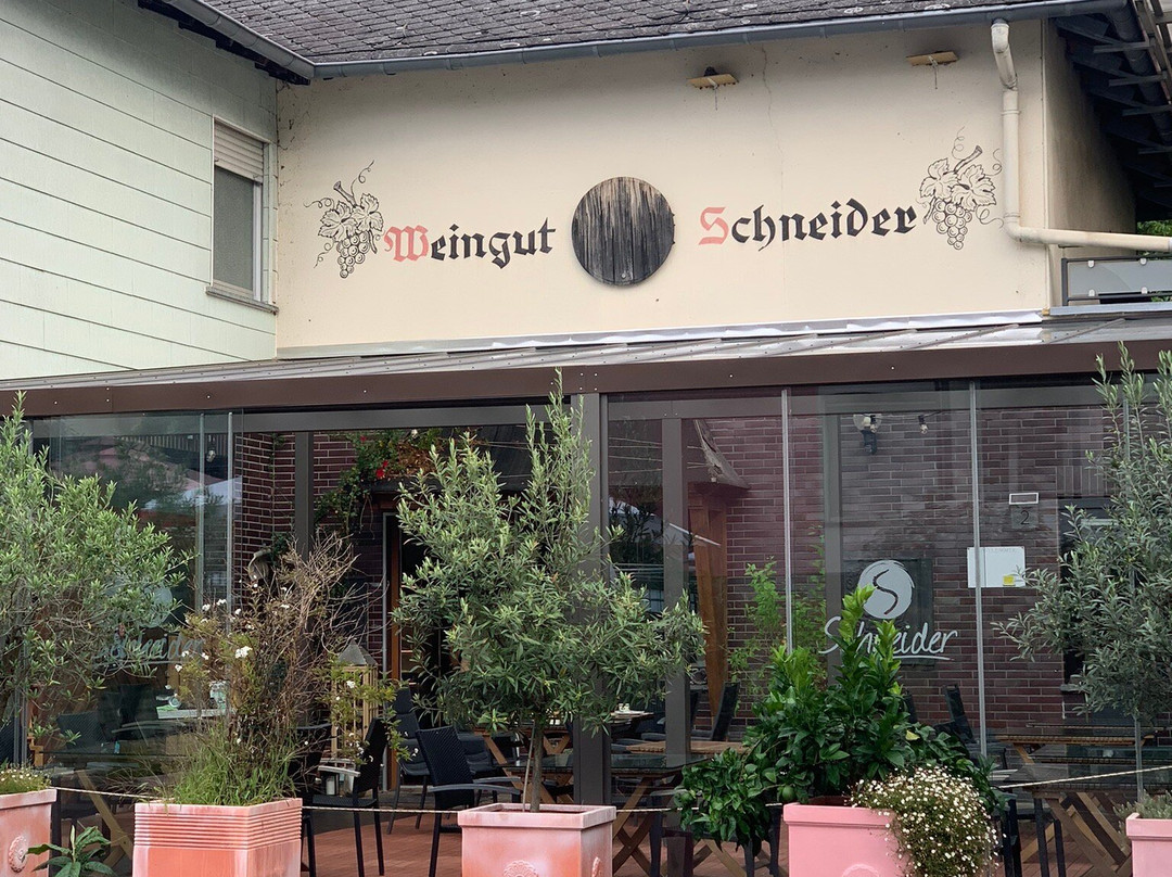 施耐德费瑞恩葡萄酒庄主图