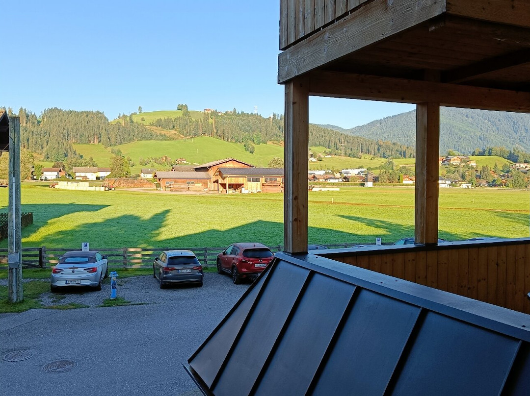 Aparthotel Kristall主图