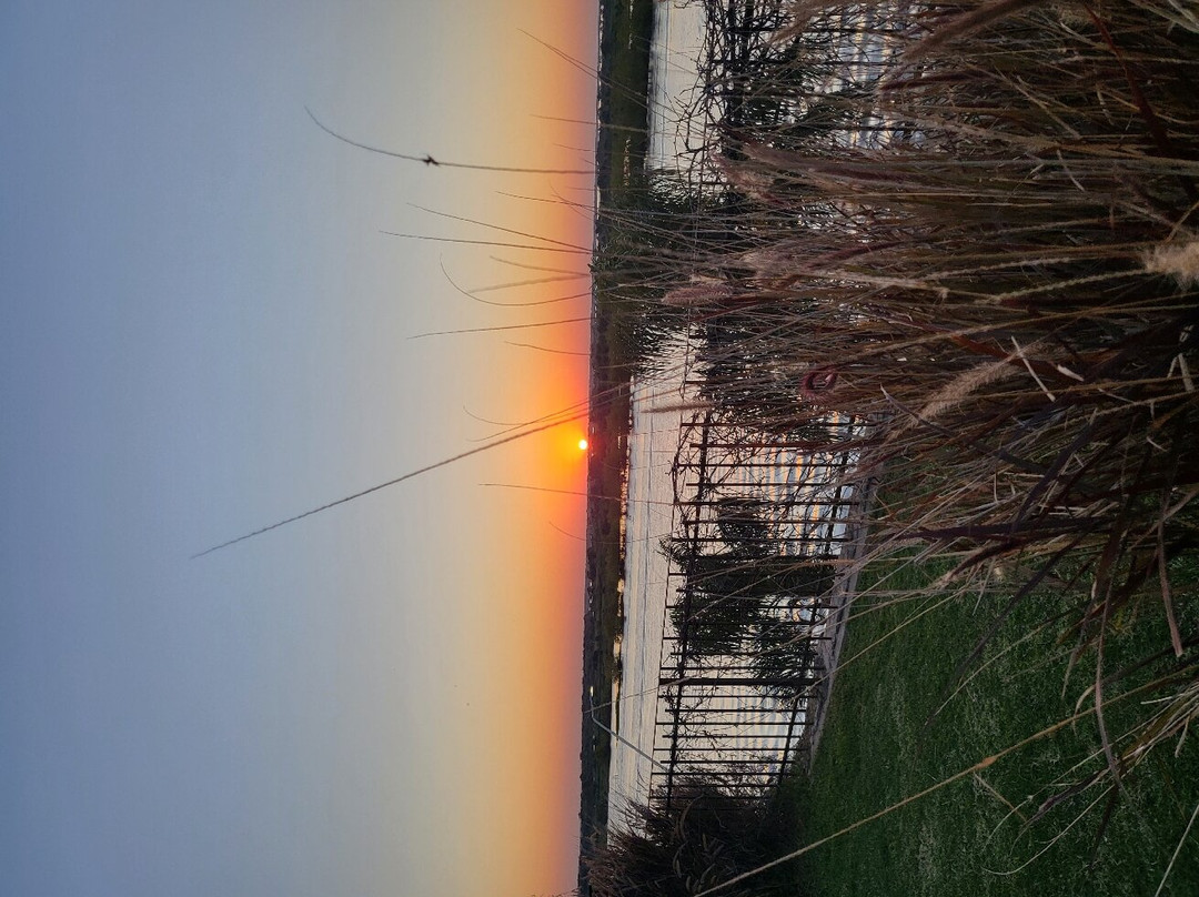 La Usina Vieja主图