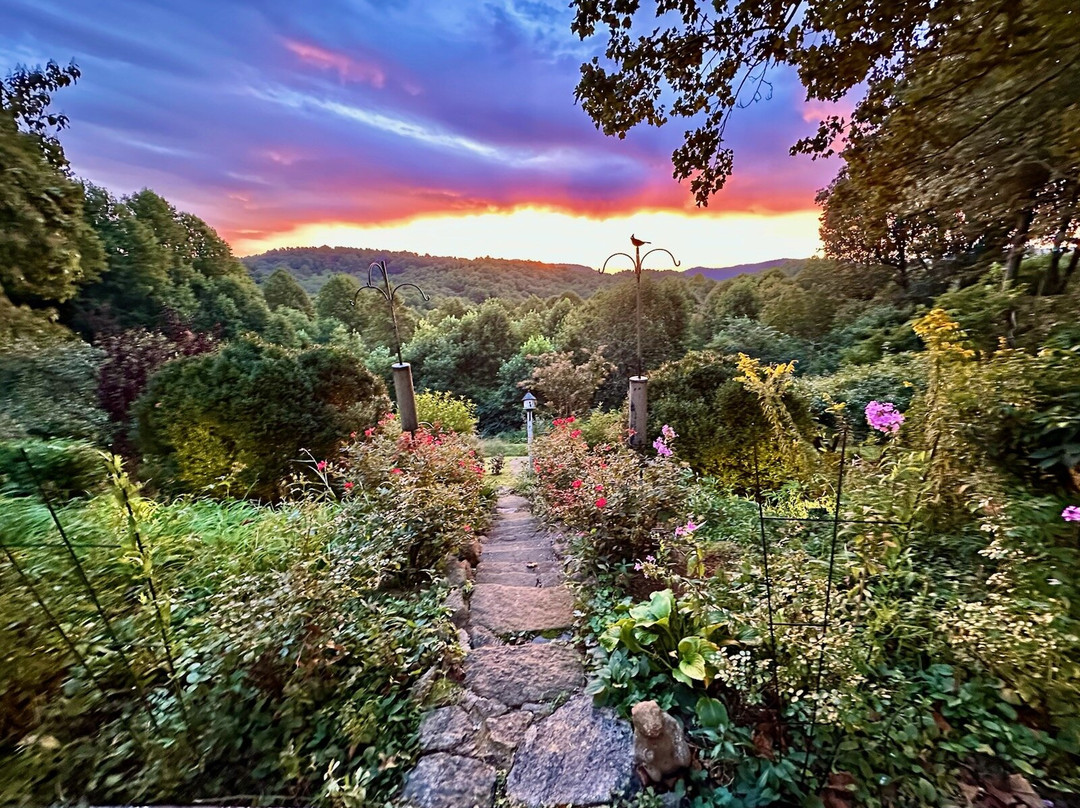 Orchard Inn & Spa主图