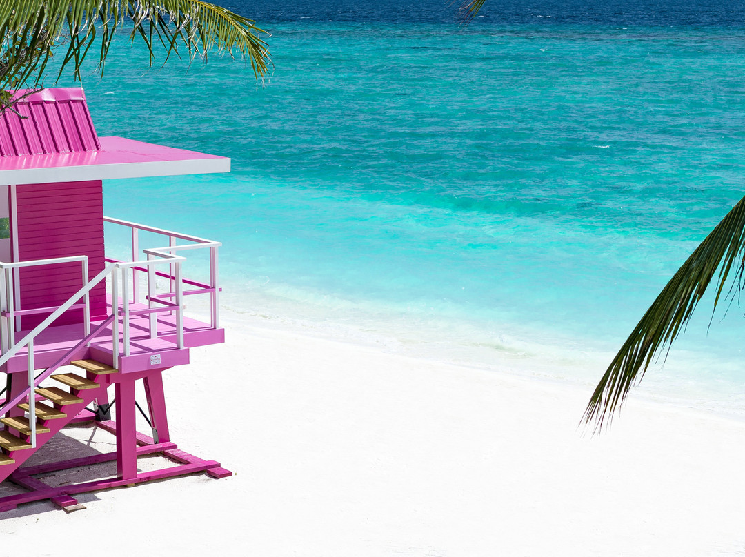 拉环礁酒店住宿-Ifuru Island Resort Maldives