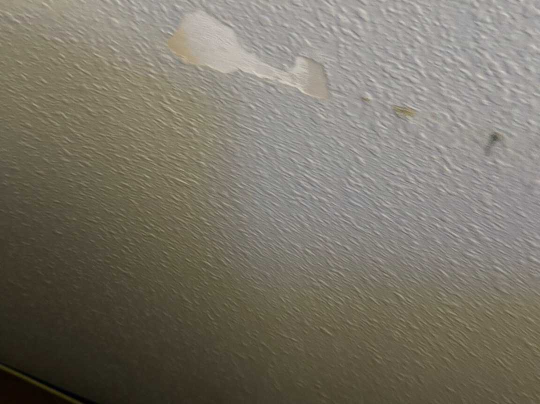 Comfort Inn & Suites Sharonville - Cincinnati North主图