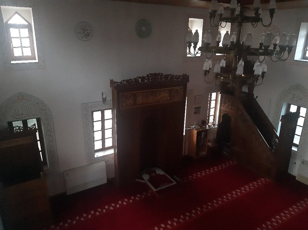 Osmanagic Mosque-波德戈里察必去景点