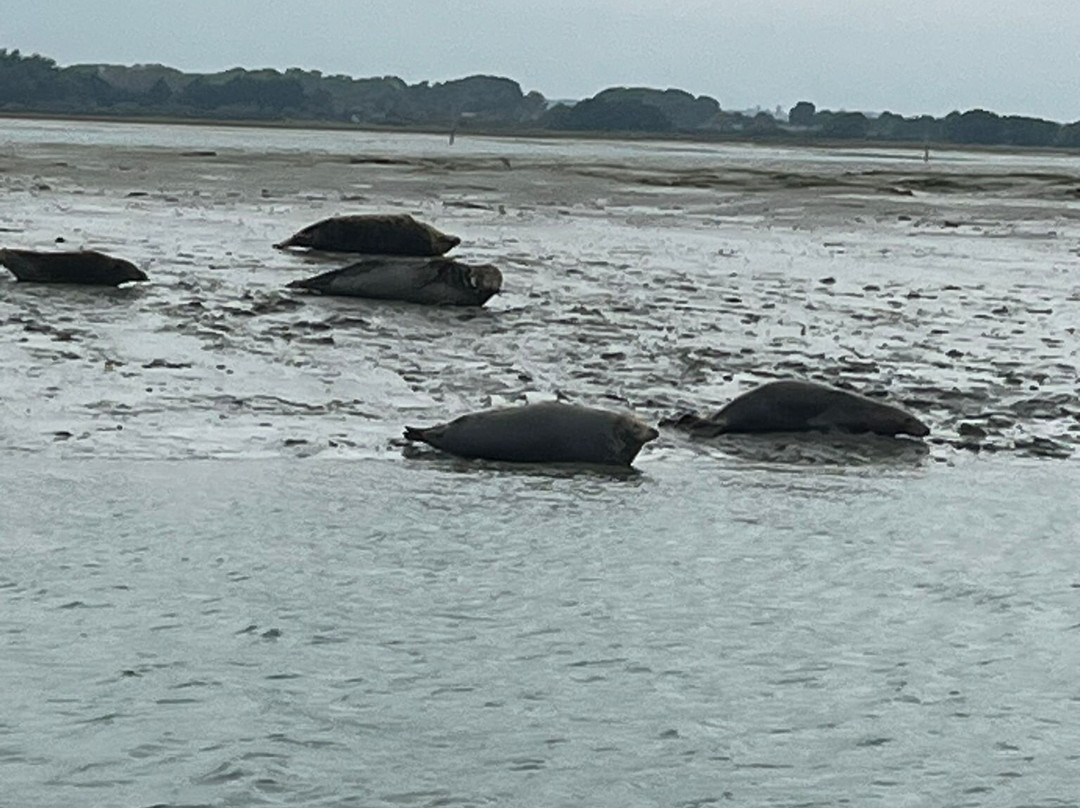 Chichester Harbour Water Tours景点图片