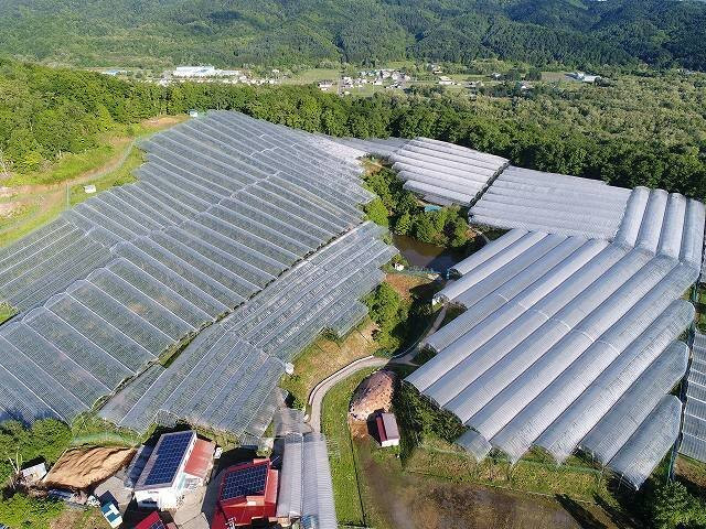 Ohashi Cherry Farm-芦别市必去景点