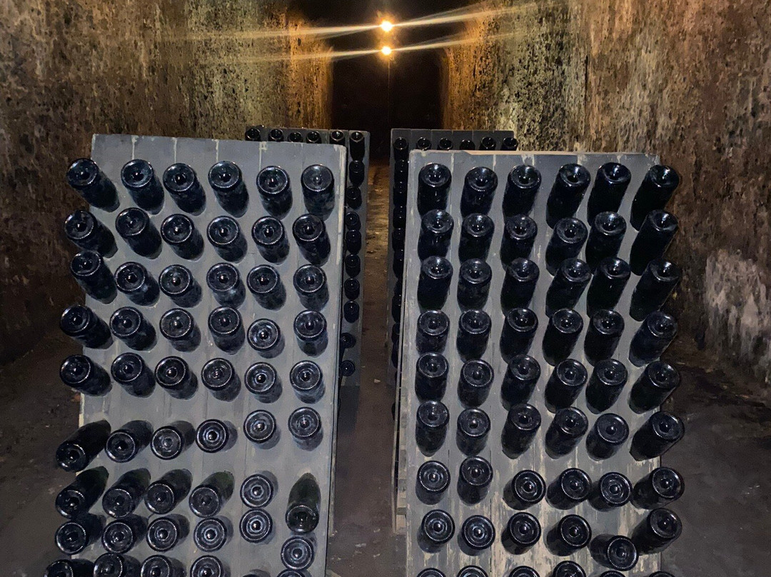Bodegas Bilbainas-哈罗必去景点