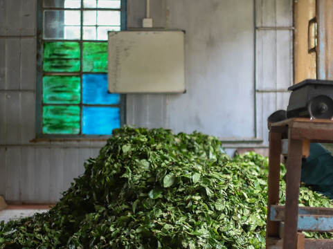 Ella Taxi LK-埃勒必去景点