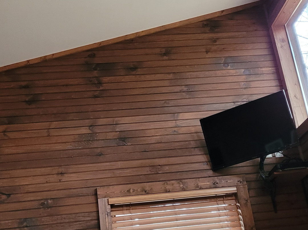 Rivers Edge Treehouse Resort主图