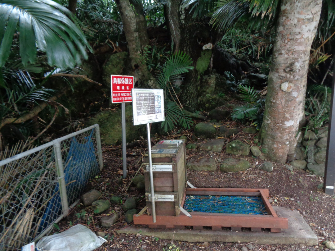 Mt. Chibusa-小笠原村必去景点