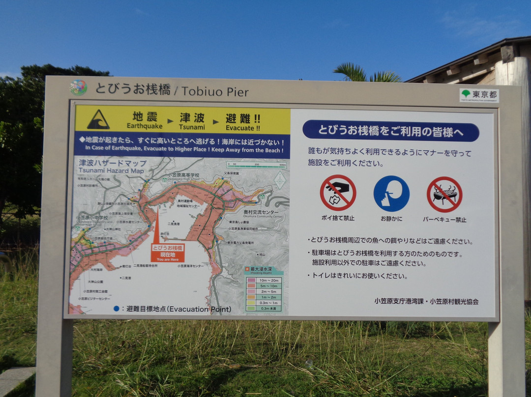 Tobiuo Pier-Chichi-jima必去景点