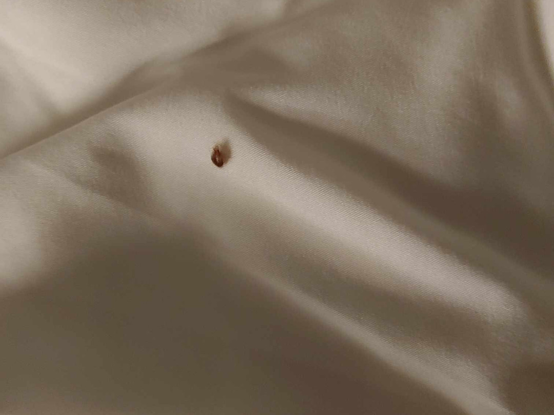 Quality Inn Selinsgrove主图