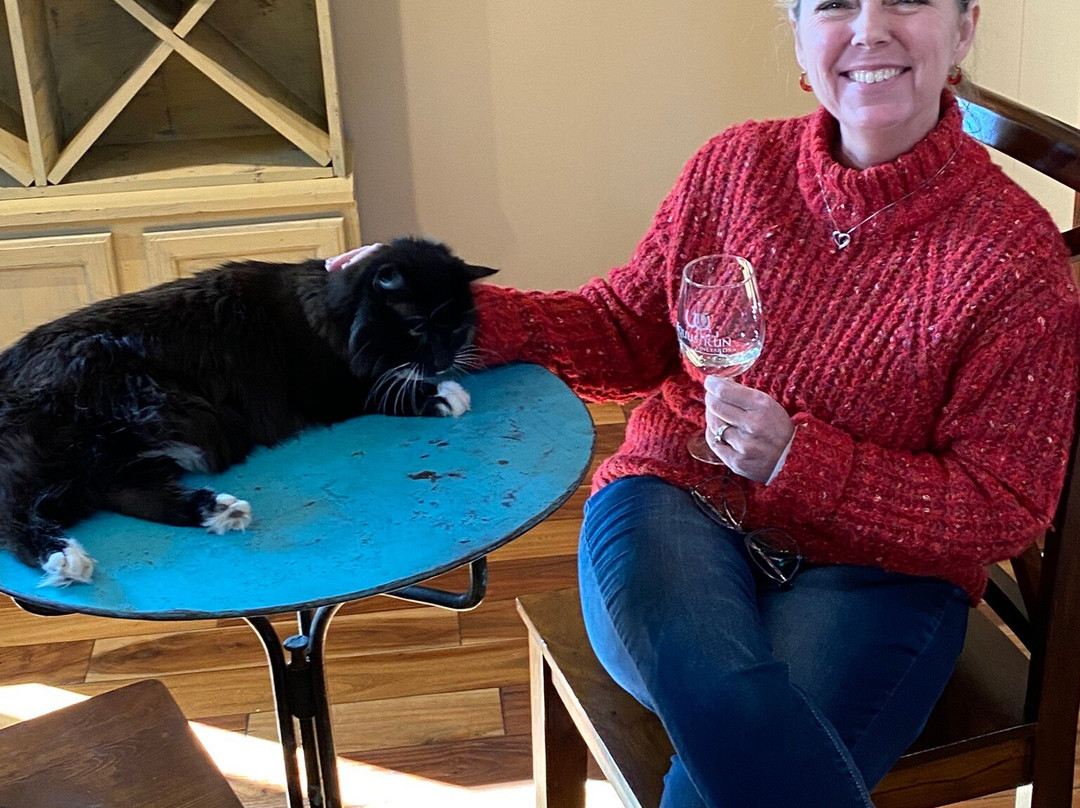 Equus Run Vineyard & Winery-Midway必去景点