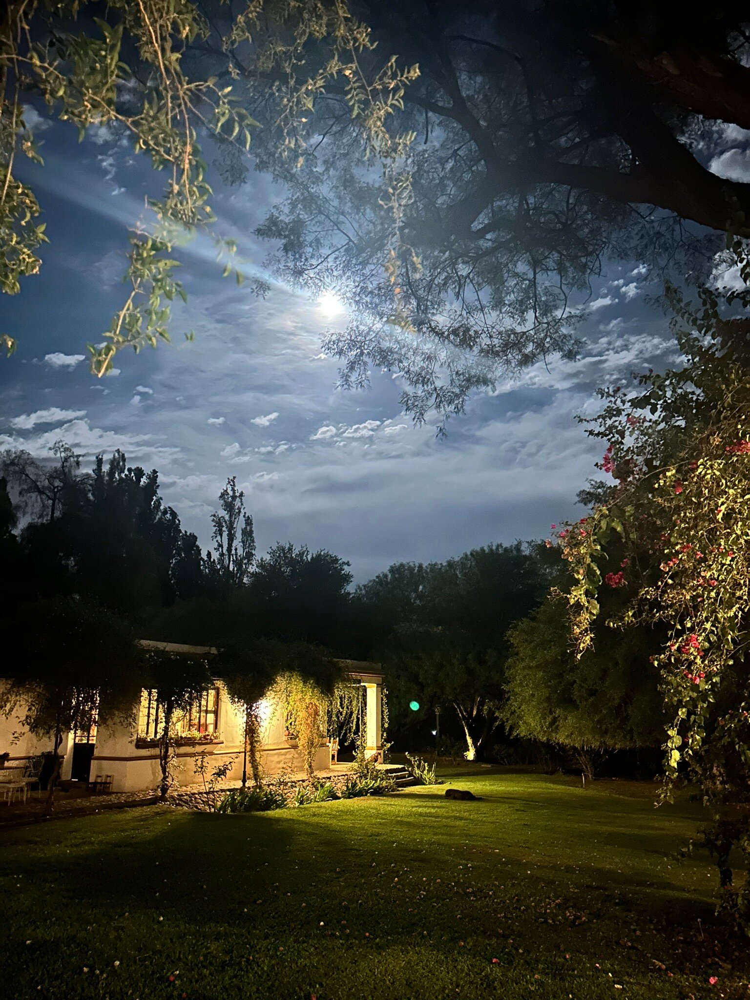 Posada del Olivo-官方