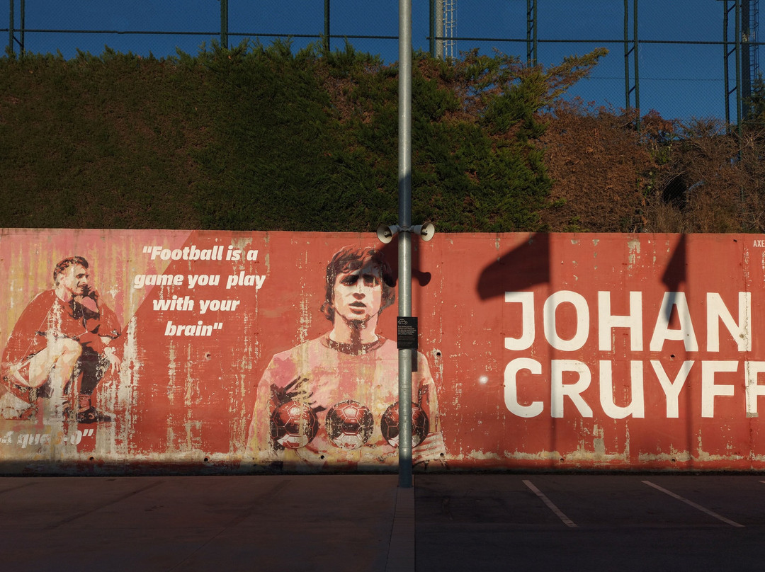 Estadi Johan Cruyff景点图片