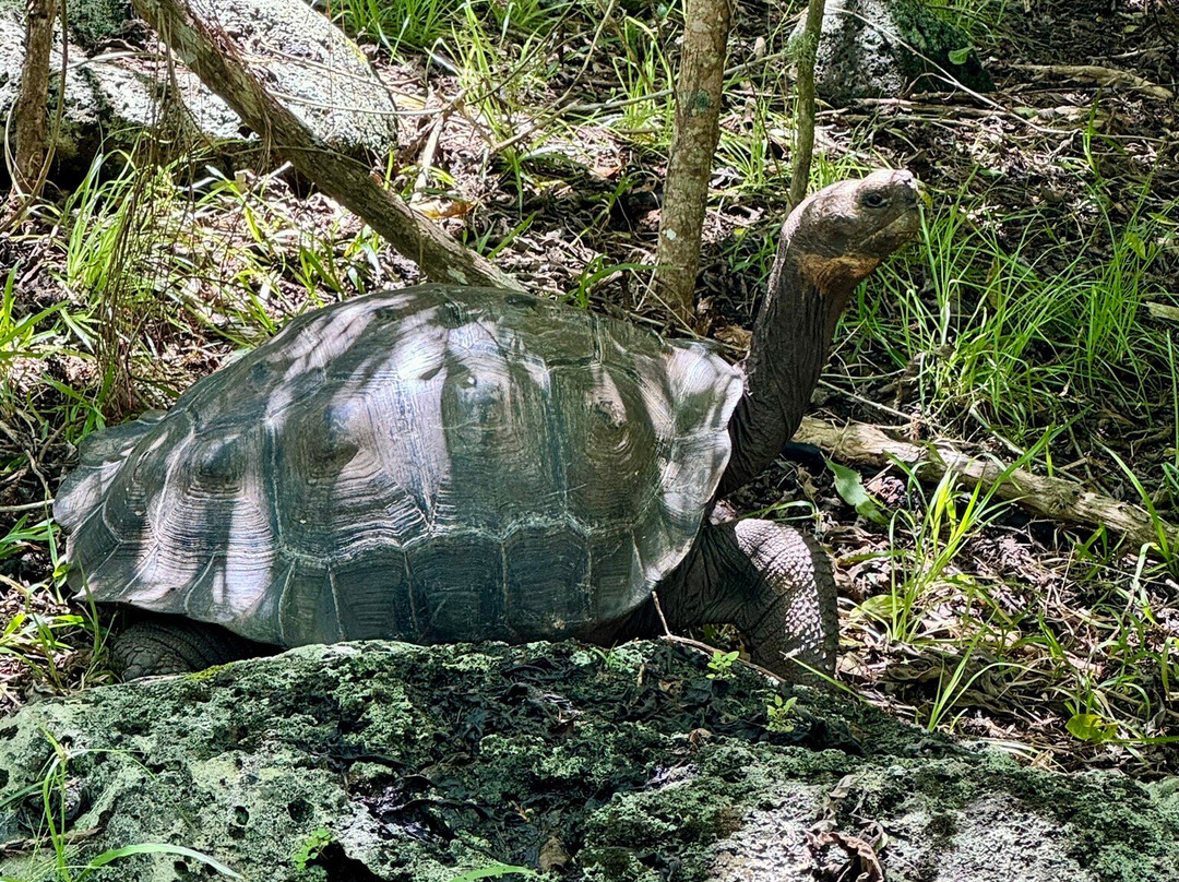 Asilo de la Paz-Floreana必去景点