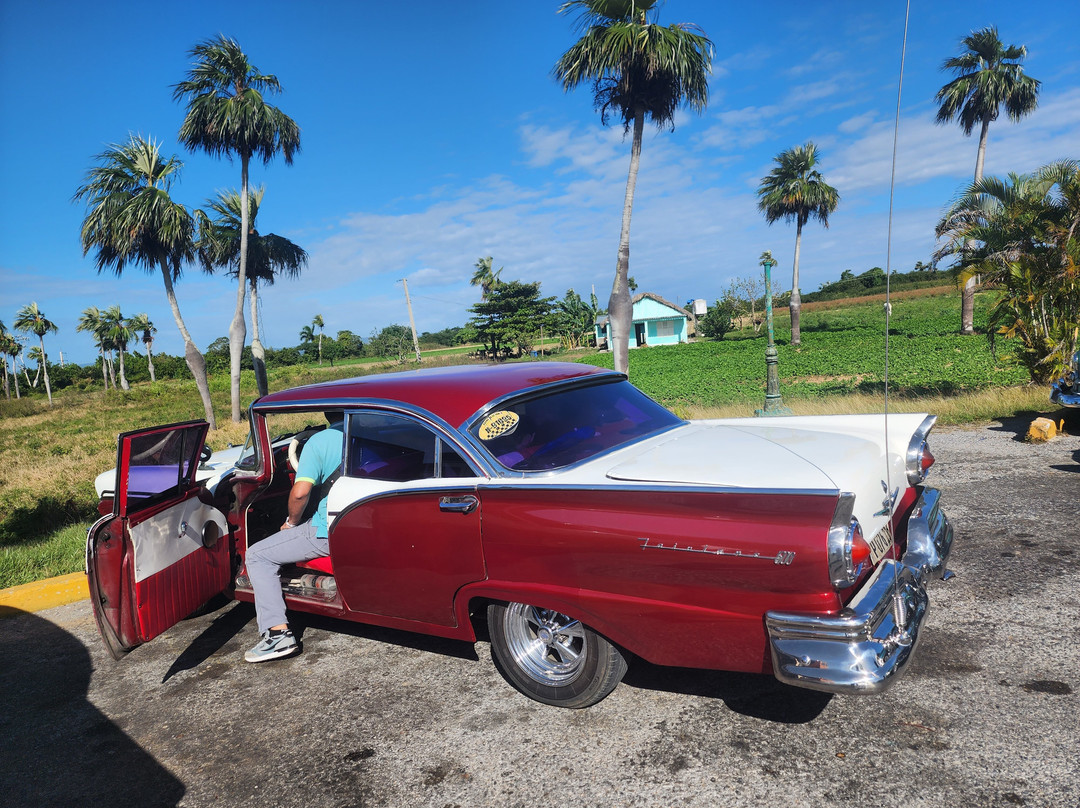 Cuban Classic Car Tours by Eddy景点图片