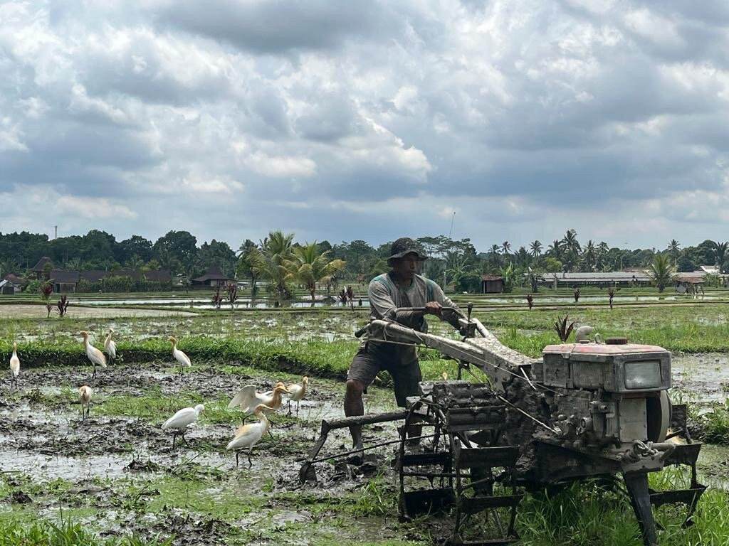 Love Bali Bike Tours景点图片