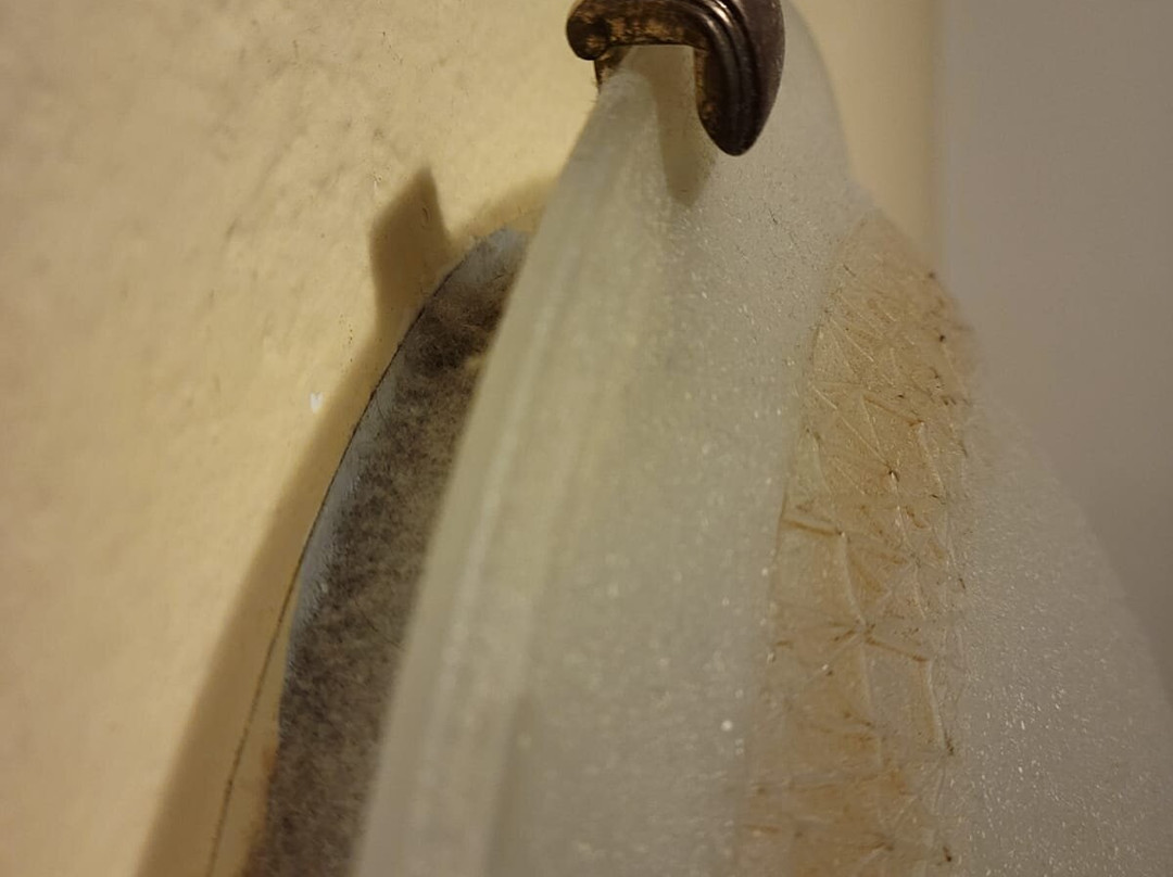 Hotel Il Rustichello主图