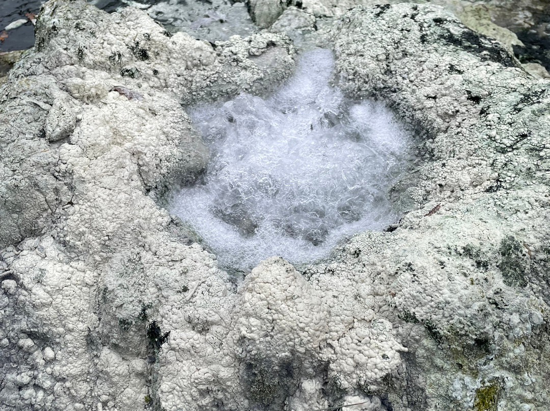 Sorgente ipotermale Bollori e Putizza-Gambassi Terme必去景点