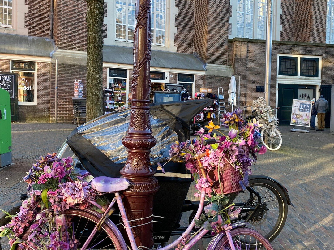AmsterdamViaggi景点图片