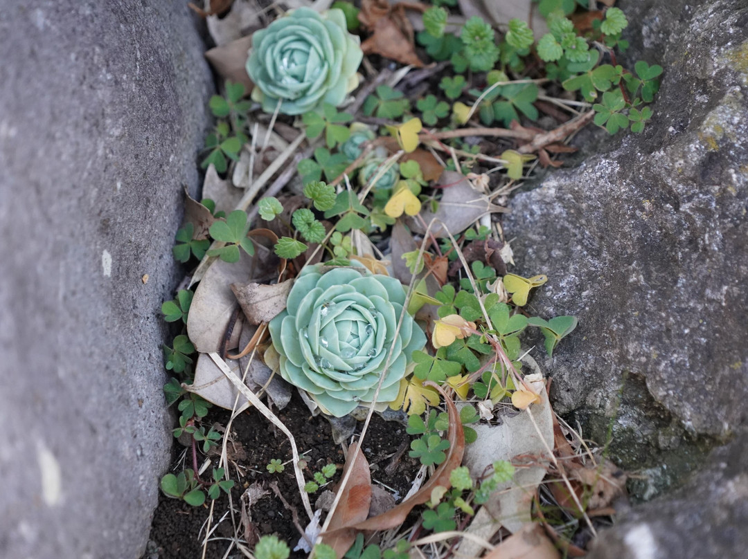 Minato Park-常陆那珂市必去景点