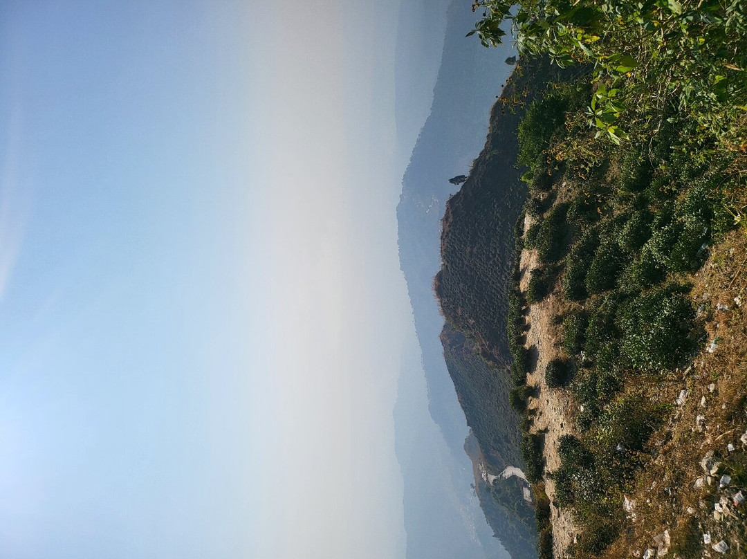Kurseong Tourist Lodge主图
