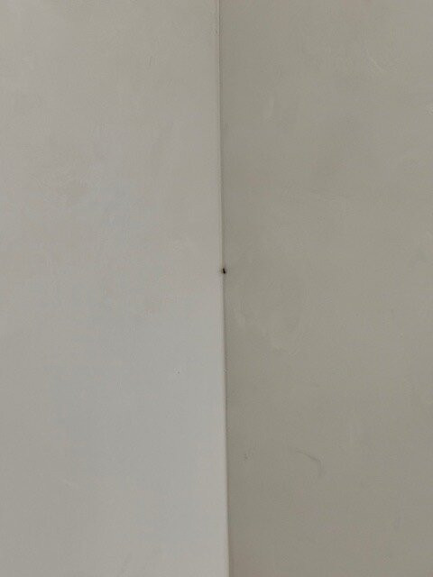 Best Western Cades Cove Inn主图