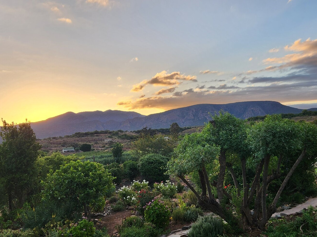 Calitzdorp Country House主图