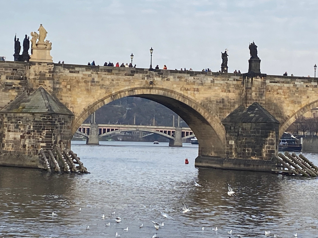 Vltava Cruise Boat-布拉格必去景点