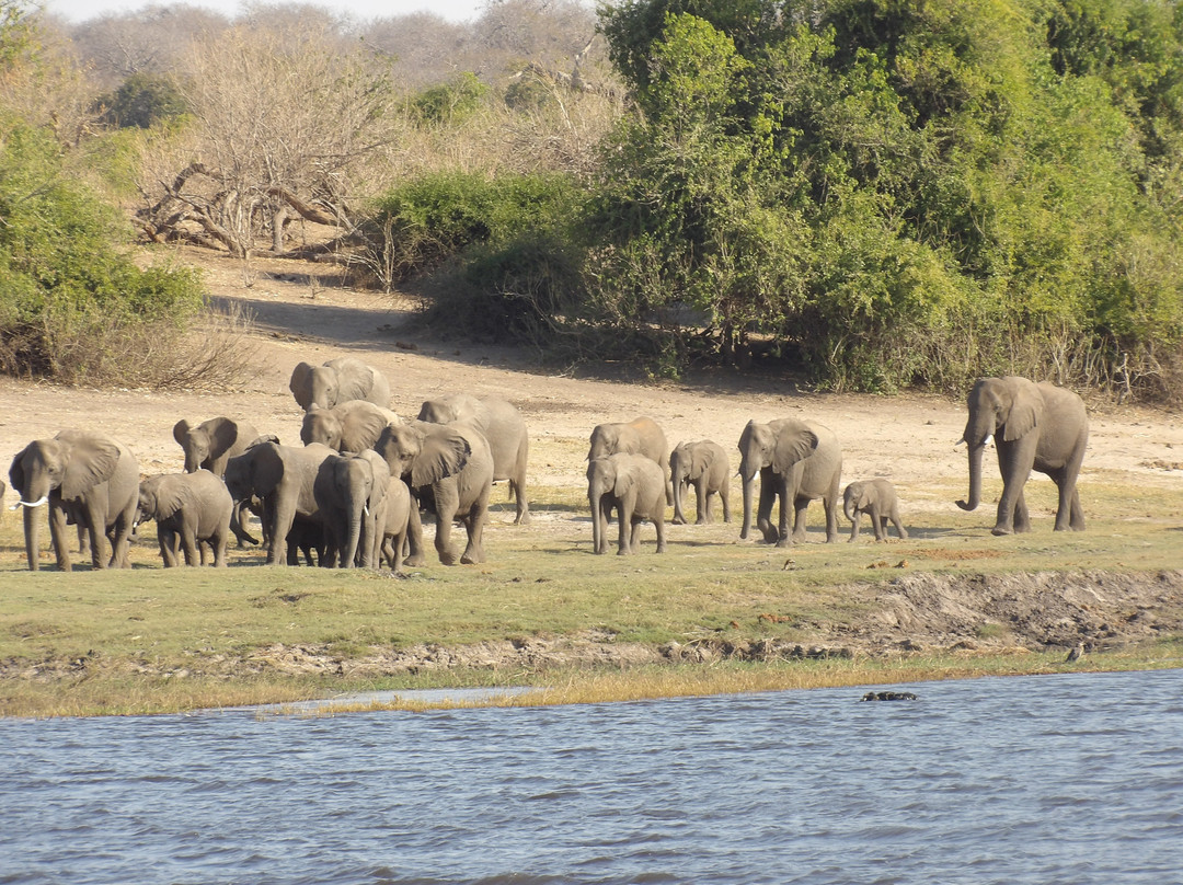 Southern Dynasty Safaris-卡萨尼必去景点