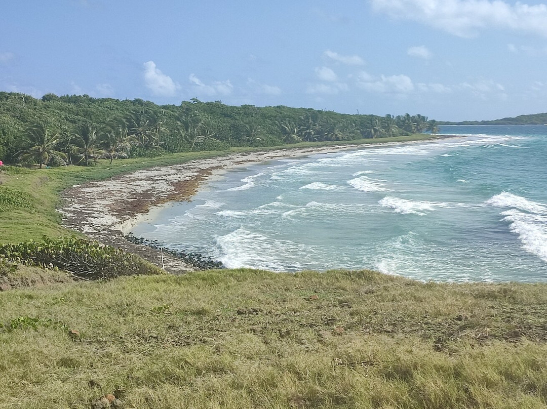 Savane Des Petrifications-Sainte-Anne必去景点