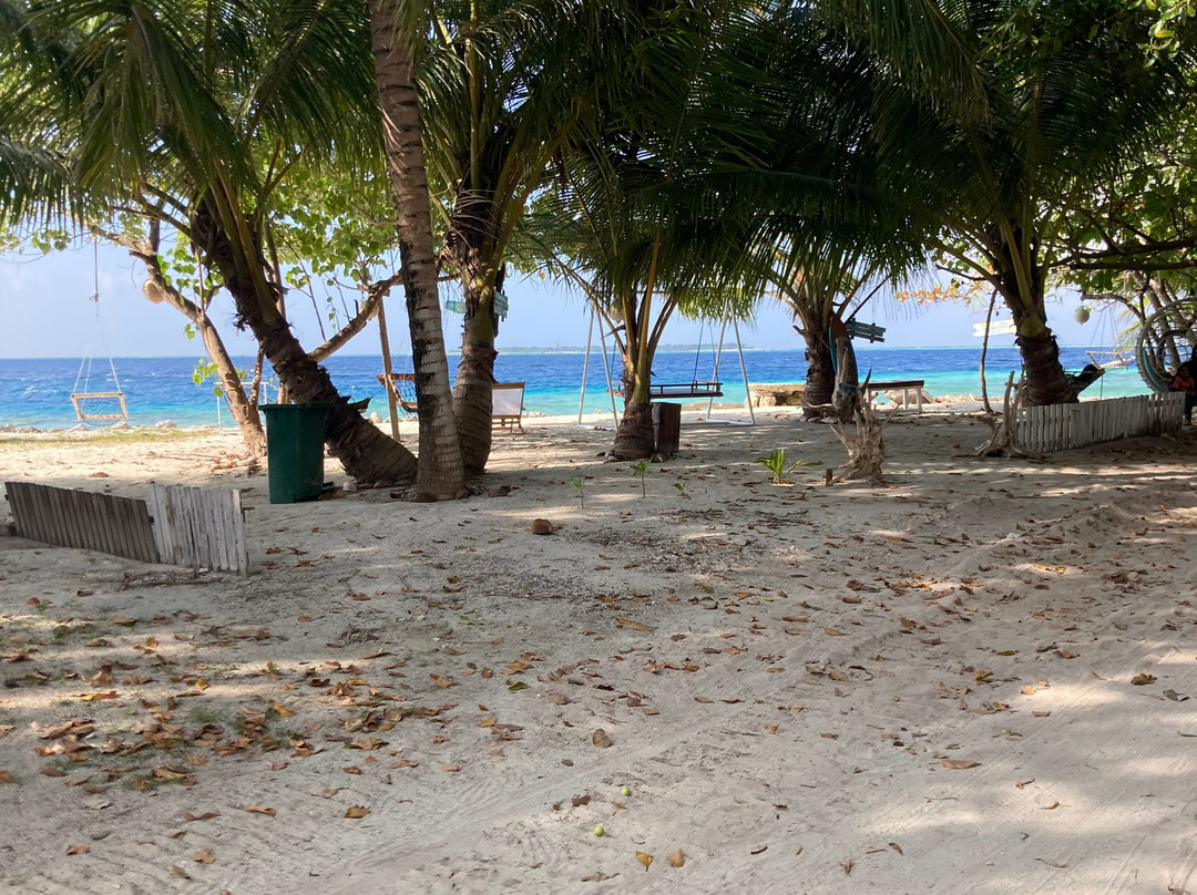 Amazing Noovilu主图